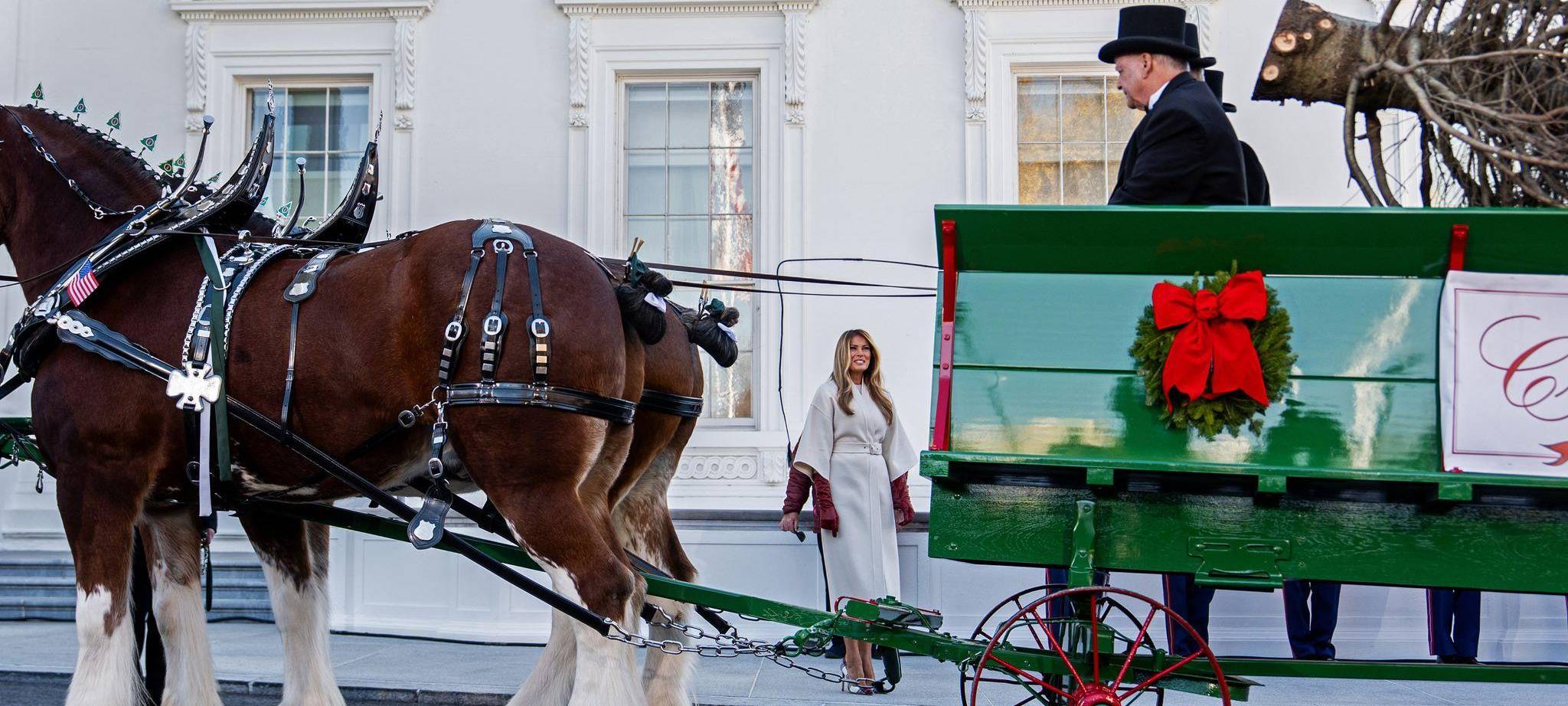Ankunft des Weihnachtsbaums im Weißen Haus