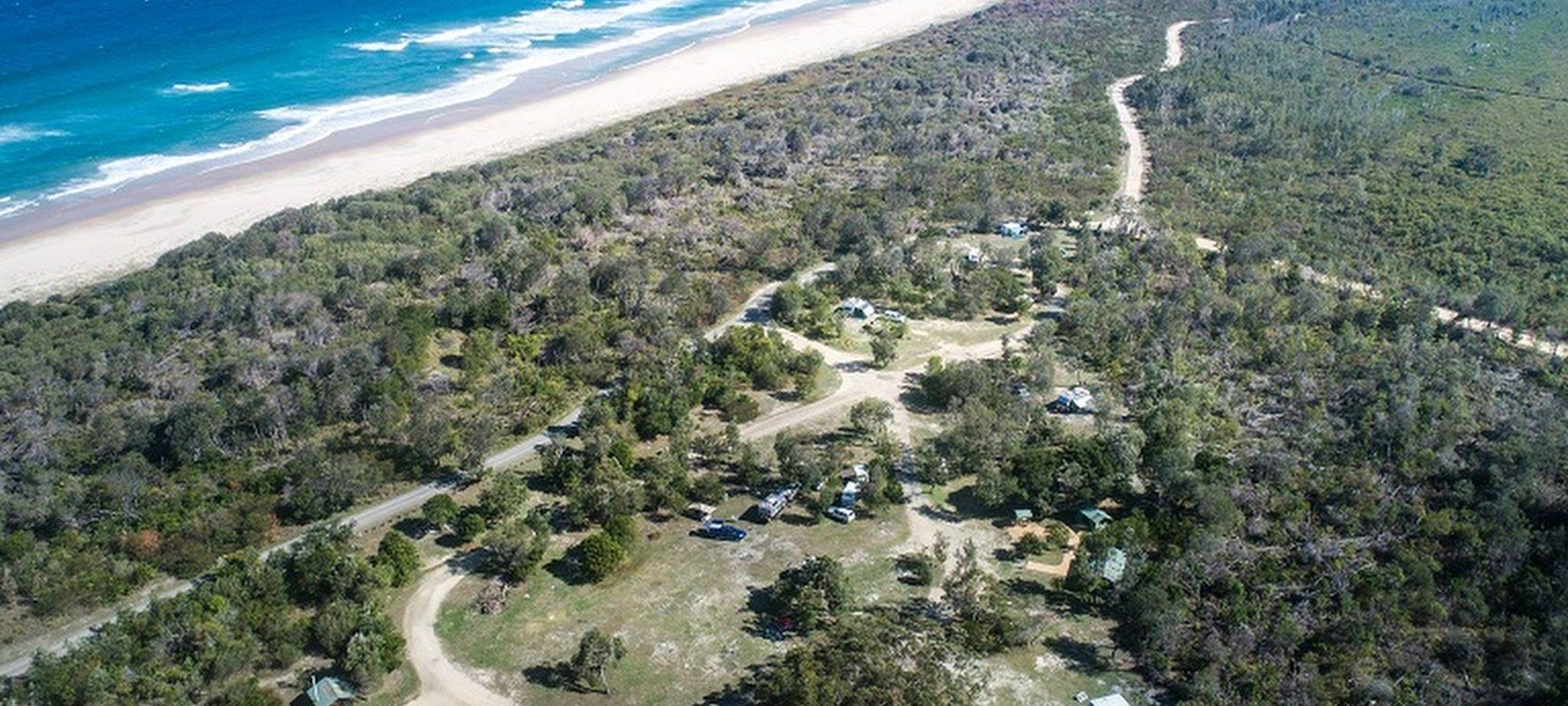 Haiattacke in Australien