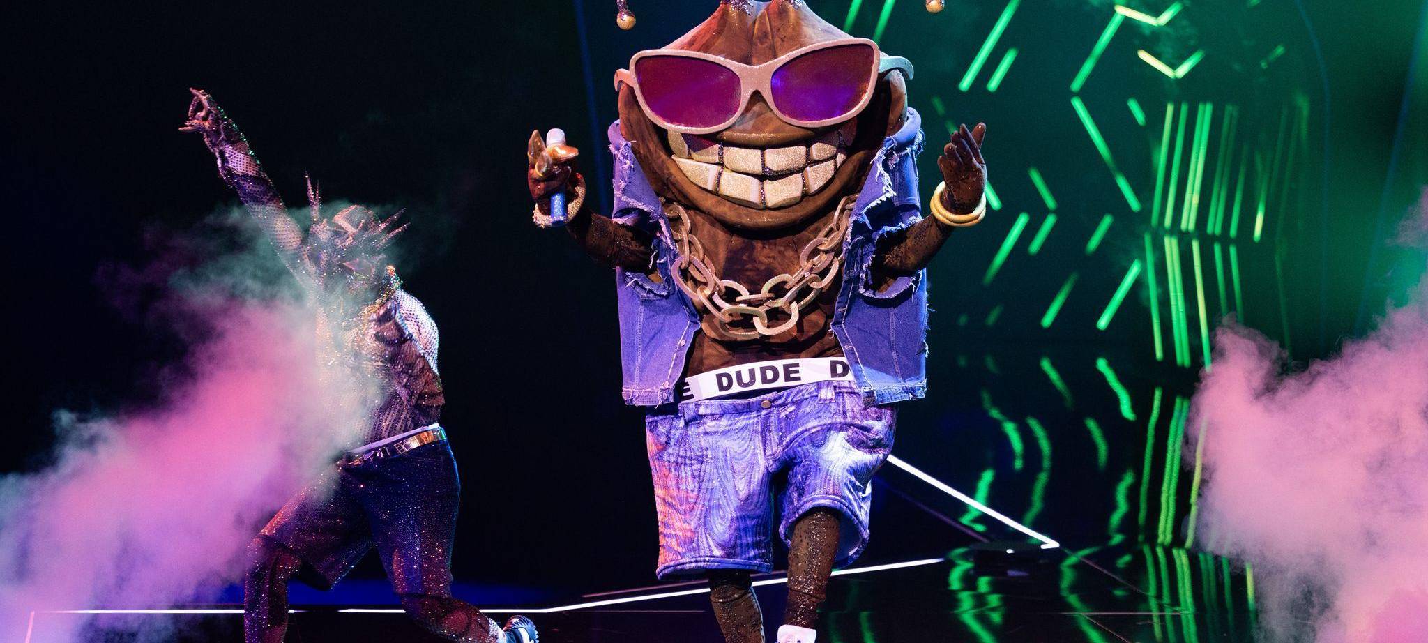 „The Masked Singer“