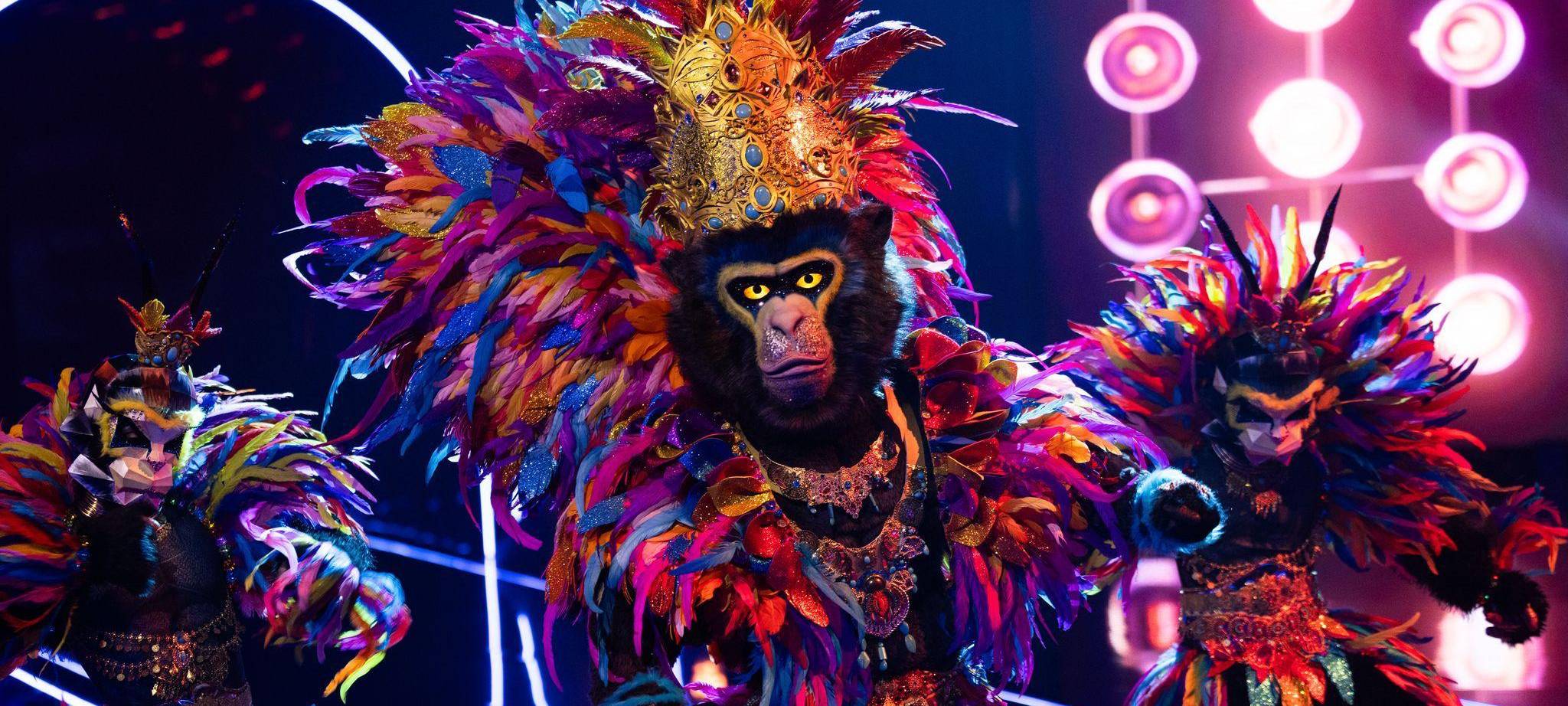 „The Masked Singer“