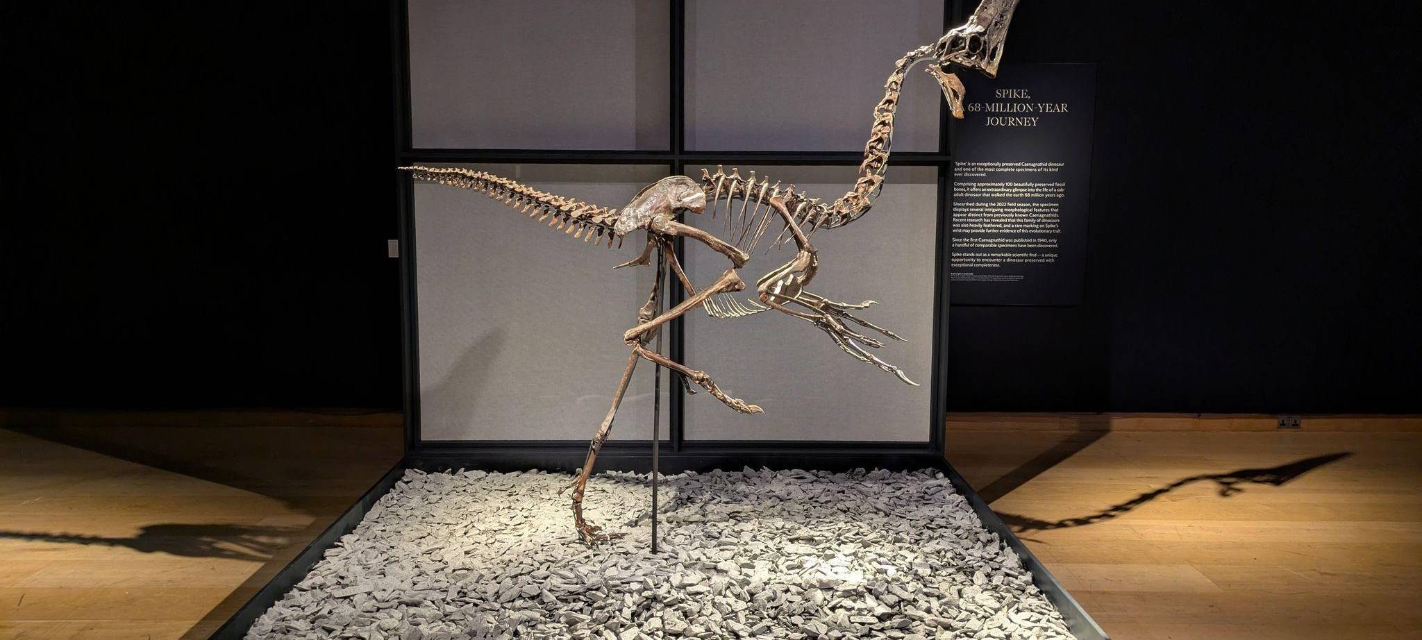 Tolkiens Schreibtisch und Batmans Motorrad unterm Hammer