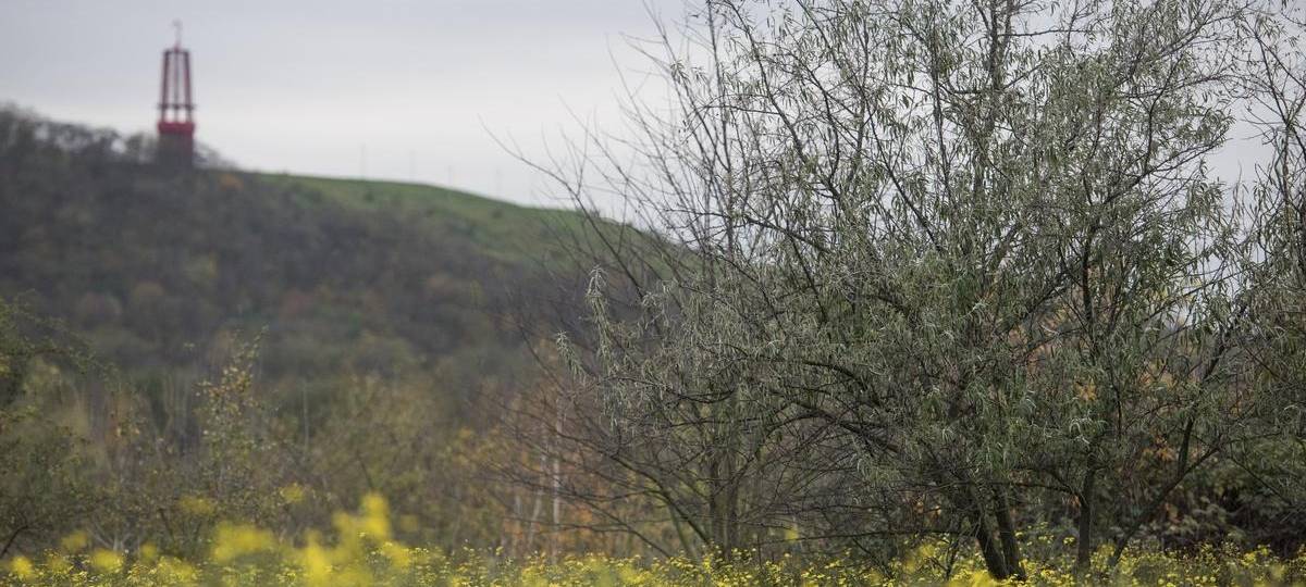 Gericht stoppt umstrittene Deponie in Duisburg: Erfolg für Umweltschützer
