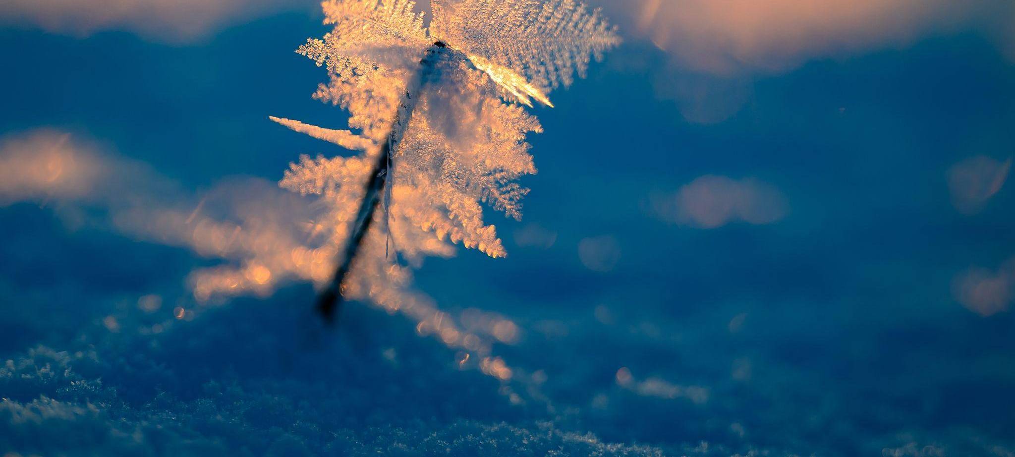 Eisiger Wintermorgen