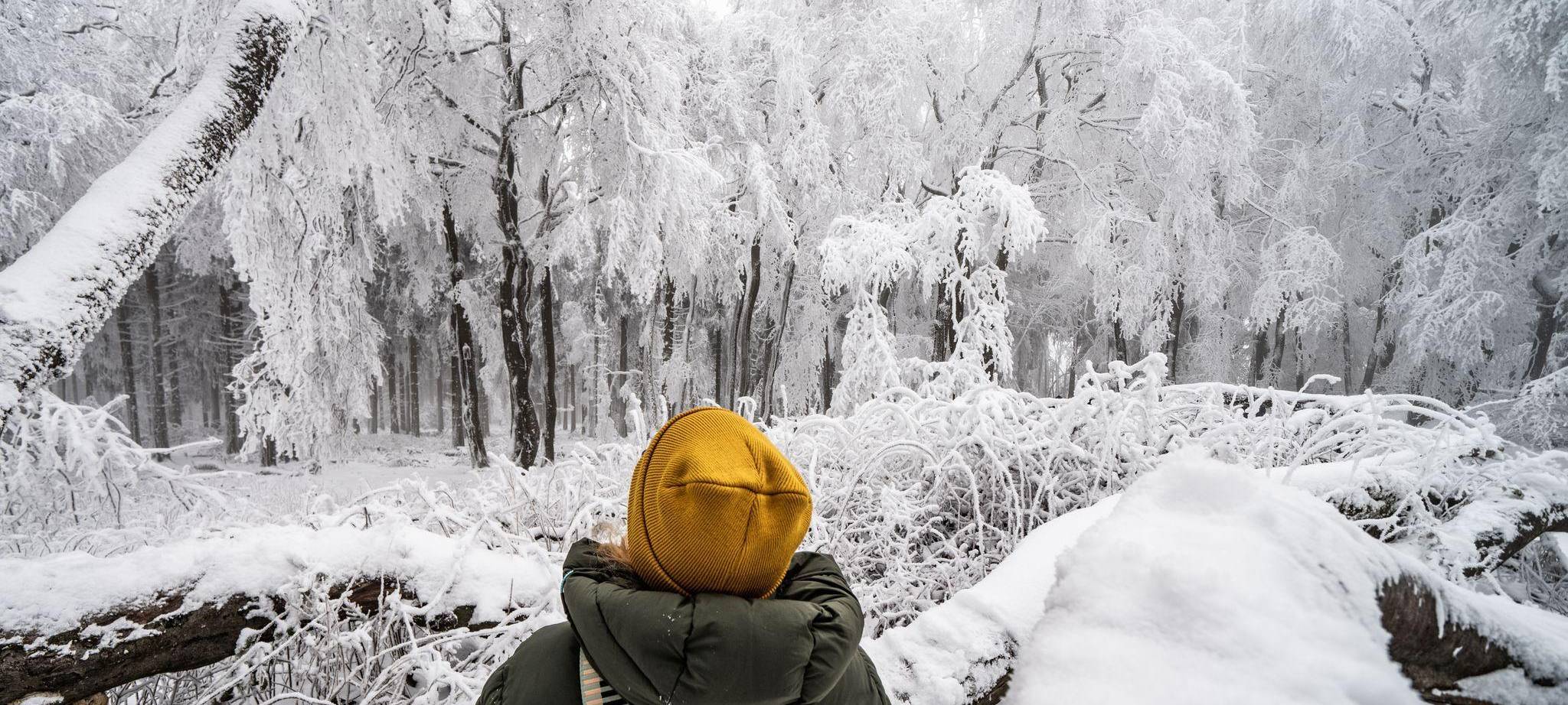 Eine Frau steht vor verschneiten Bäumen