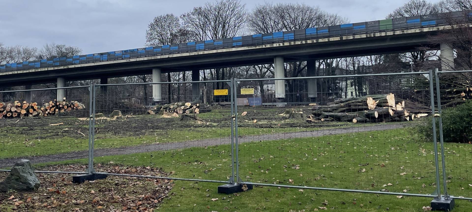 Baumfällungen im Stadtpark Meiderich