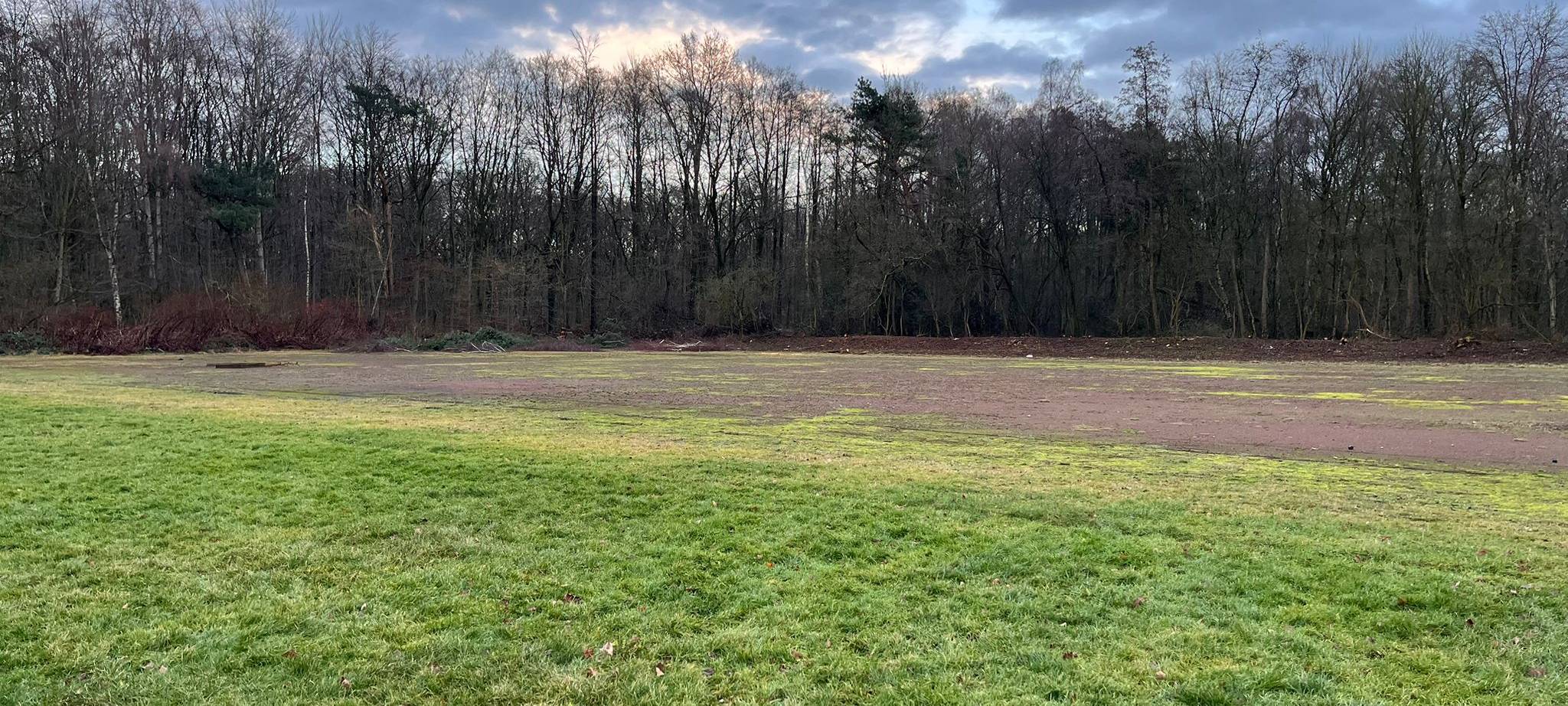 Duisburg Flying Bats suchen Unterstützung: Neuer Baseballplatz soll in Bissingheim entstehen