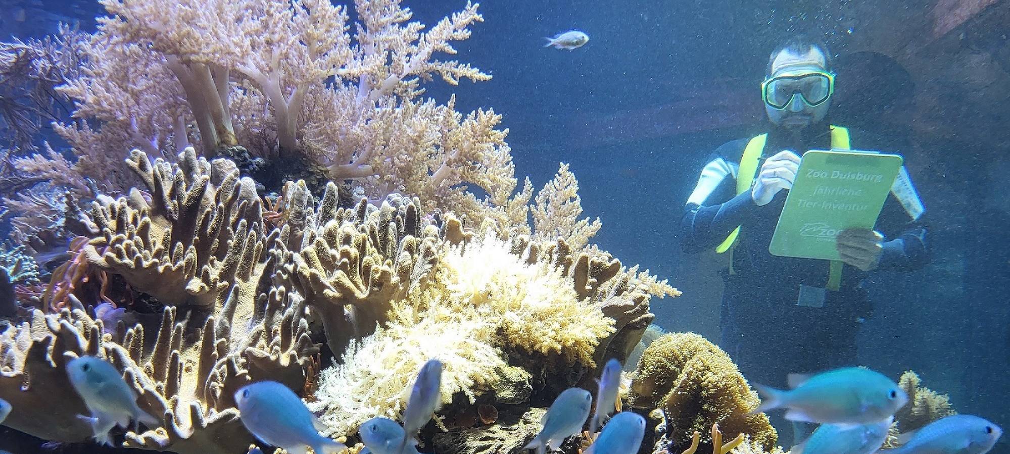 Zoo Duisburg zählt über 5.100 Tiere: Inventur zeigt deutlichen Zuwachs