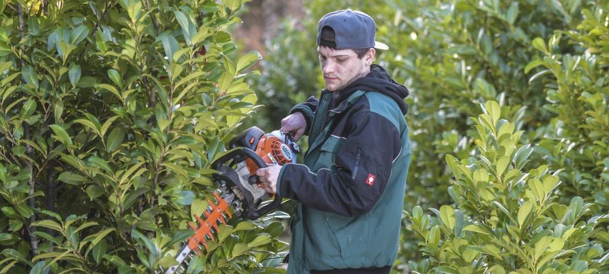 Heckenschnitt in Duisburg nur noch diesen Monat