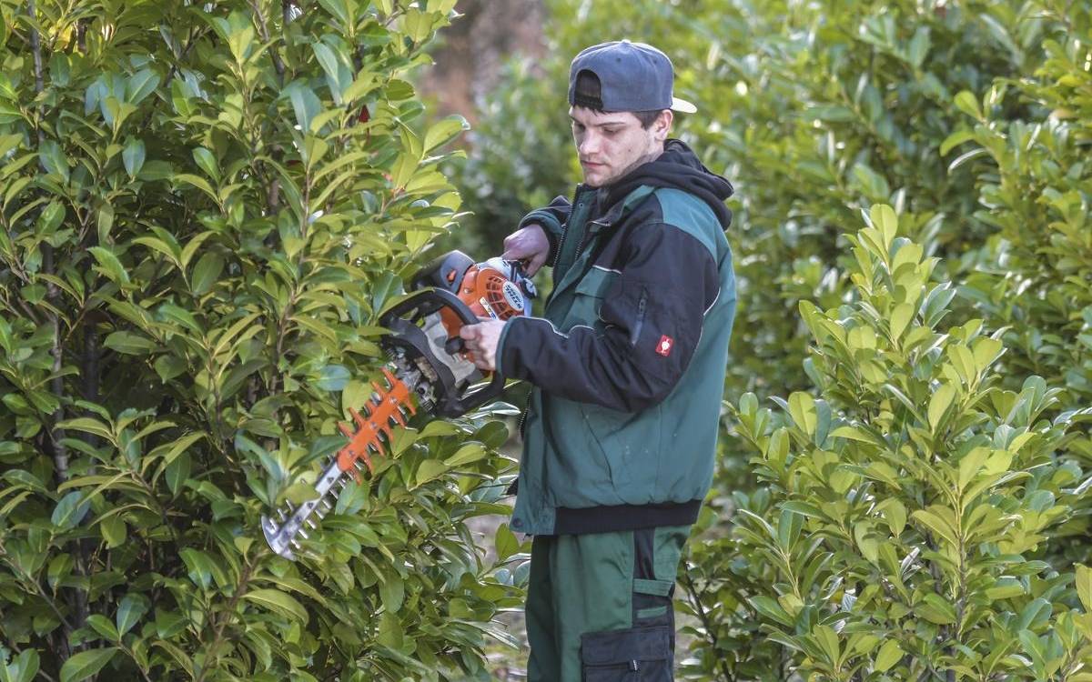 Heckenschnitt in Duisburg nur noch diesen Monat