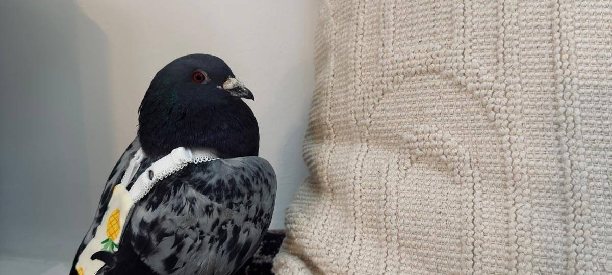 Eure schönsten Haustier-Stories