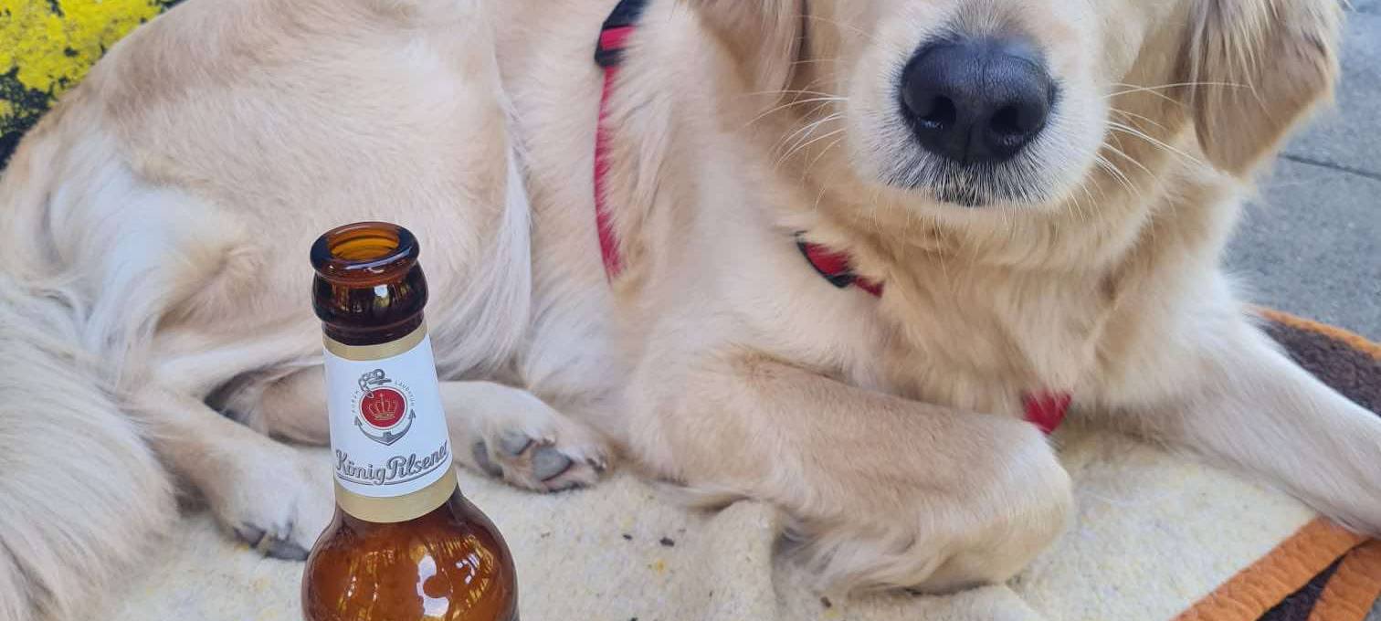 Eure schönsten Haustier-Fotos zum „Liebe-dein-Haustier-Tag“