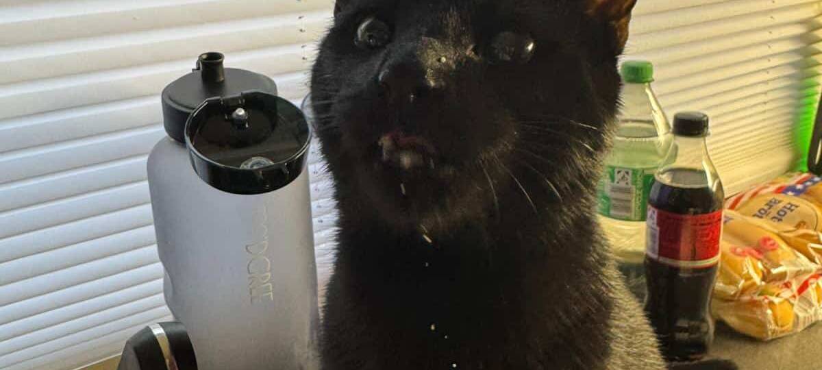 Eure schönsten Haustier-Fotos zum „Liebe-dein-Haustier-Tag“