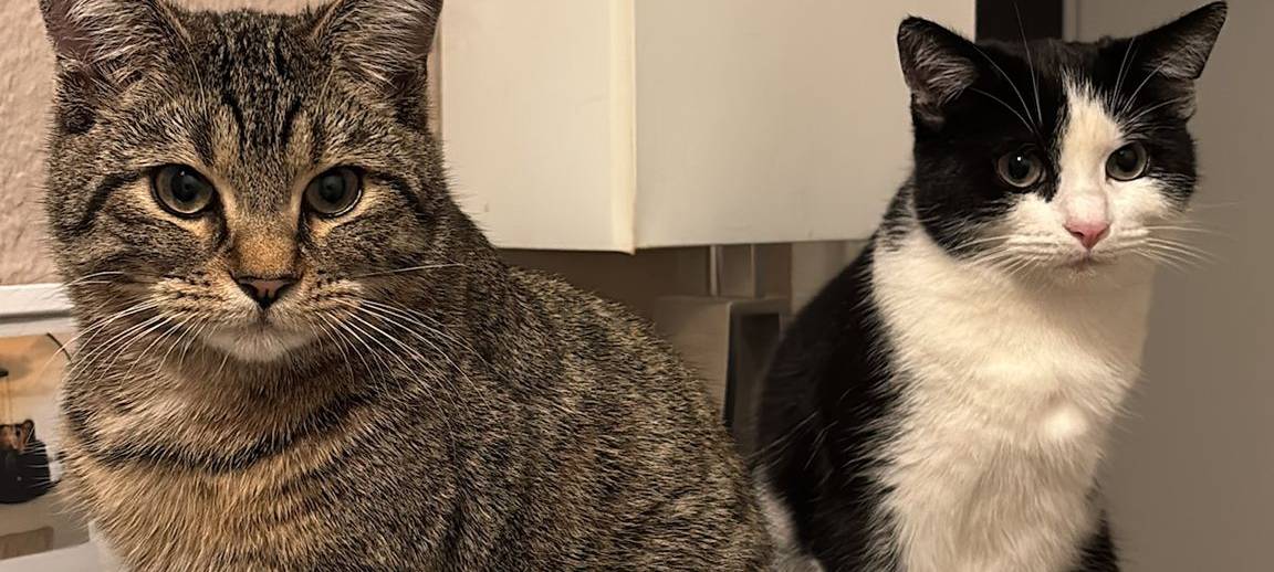 Eure schönsten Haustier-Fotos zum „Liebe-dein-Haustier-Tag“