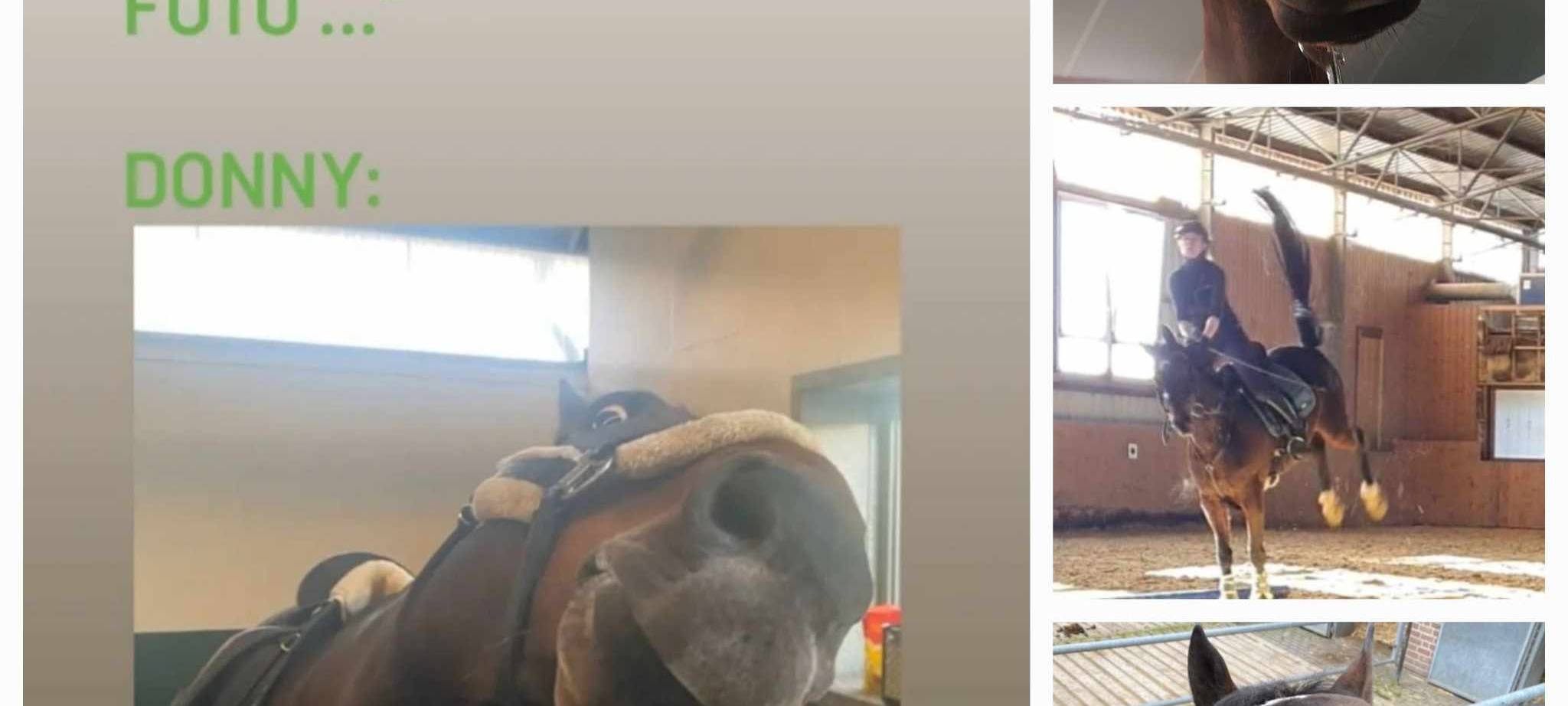 Eure schönsten Haustier-Fotos zum „Liebe-dein-Haustier-Tag“