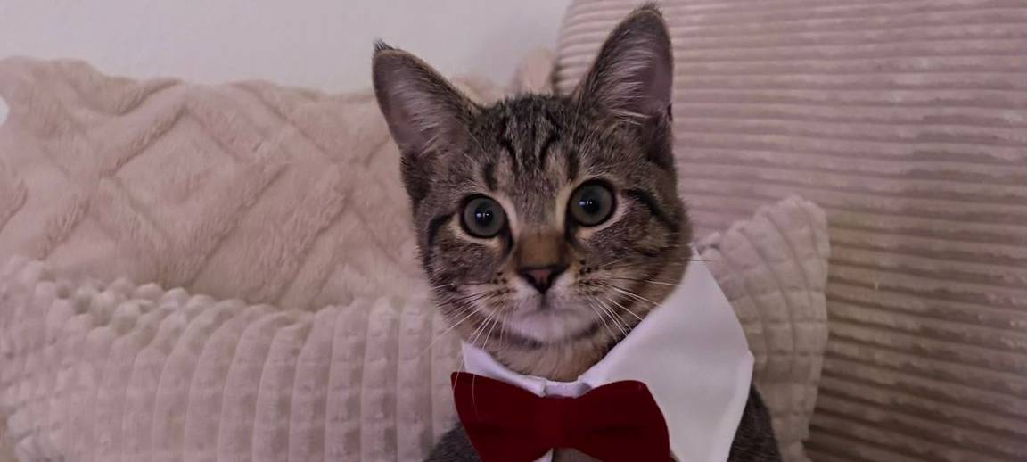 Eure schönsten Haustier-Fotos zum „Liebe-dein-Haustier-Tag“