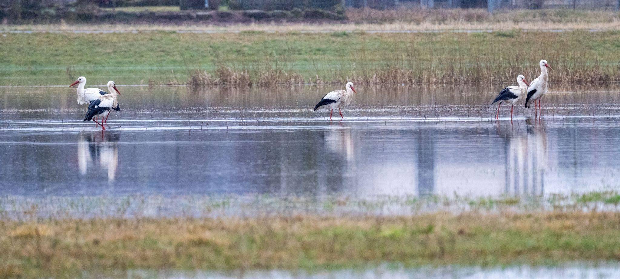 Hochwasser in Bayern