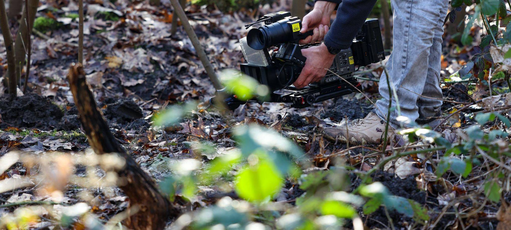 Polizeieinsatz in Waldstück - Fund einer Frauenleiche