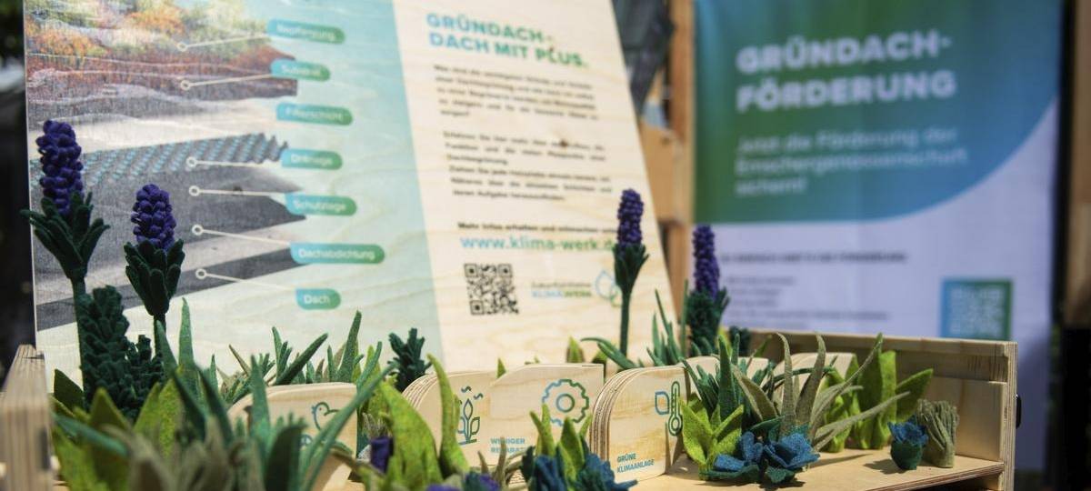 Duisburger Umweltwochen 2026: Jetzt für Veranstaltungen anmelden