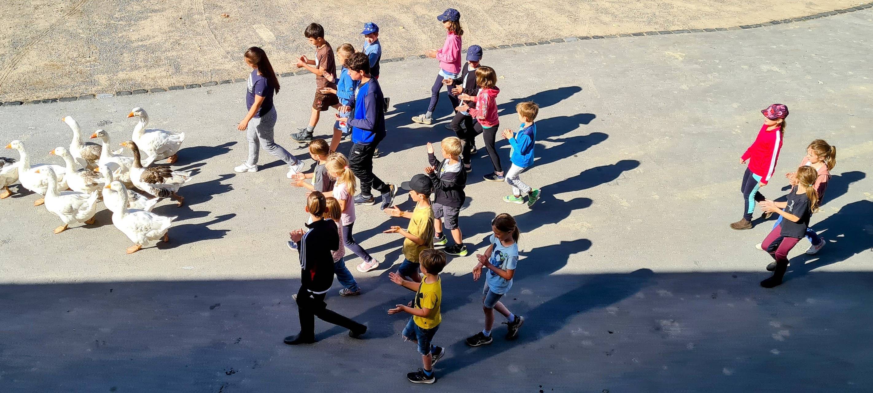 Kinder mit Gänsen auf dem AWO-Ingenhammshof in Duisburg während der Ferien