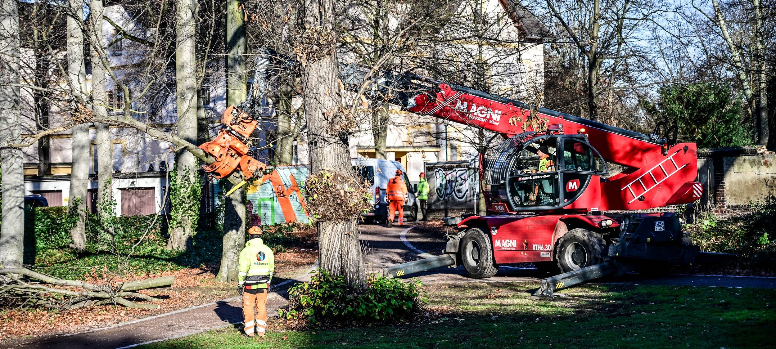 25 Bäume mussten im Morianswäldchen gefällt werden.