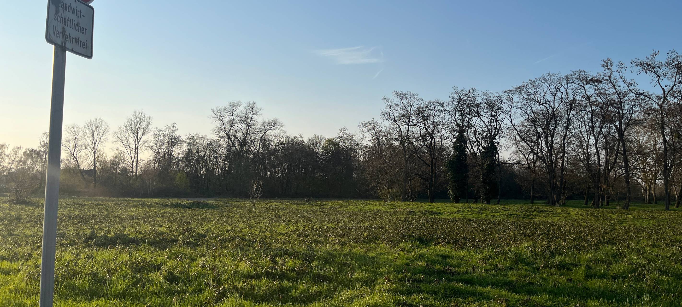 Grünfläche auf ehemaligem Gelände der Zeche Fritz in Rumeln