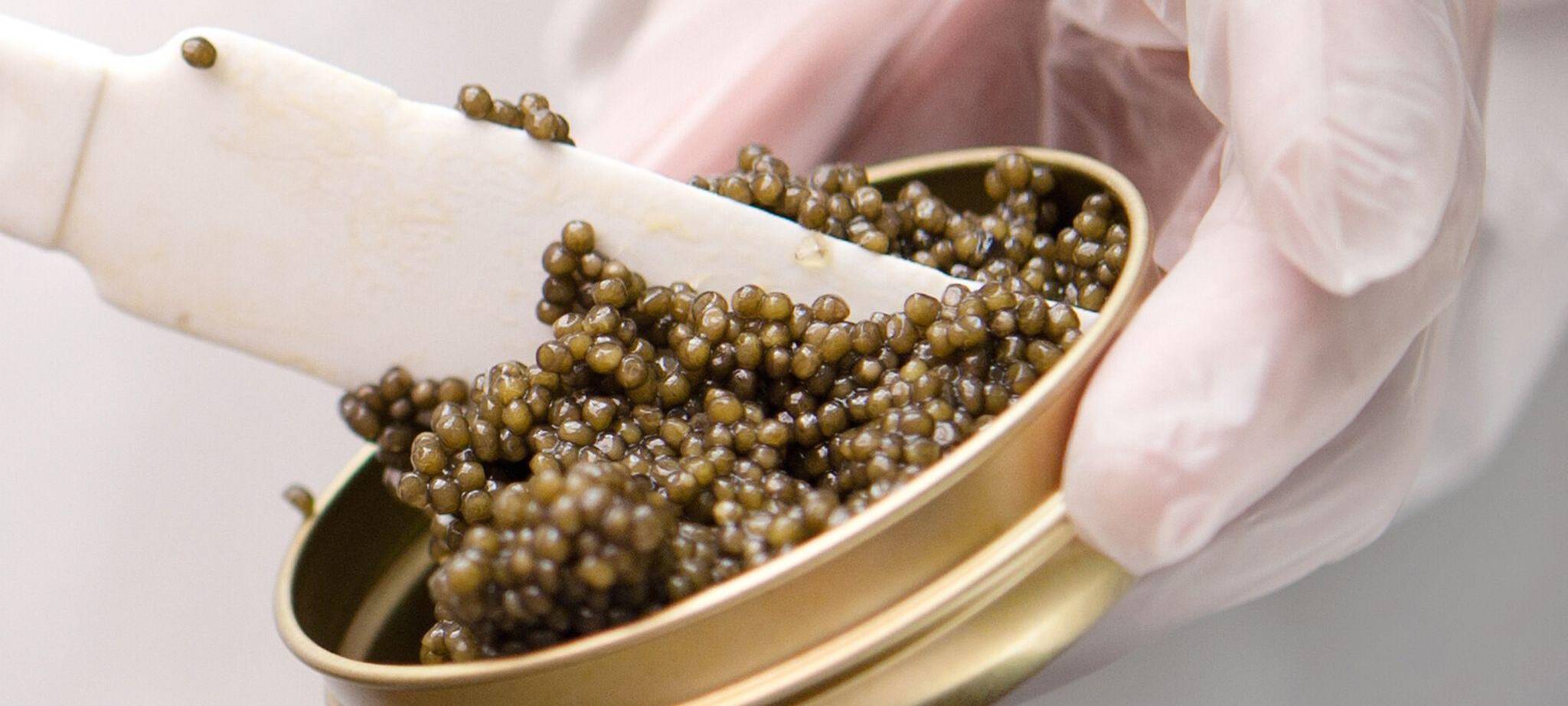 Schrenckii-Kaviar vom Amur-Stör bei «Imperial Caviar» in Berlin