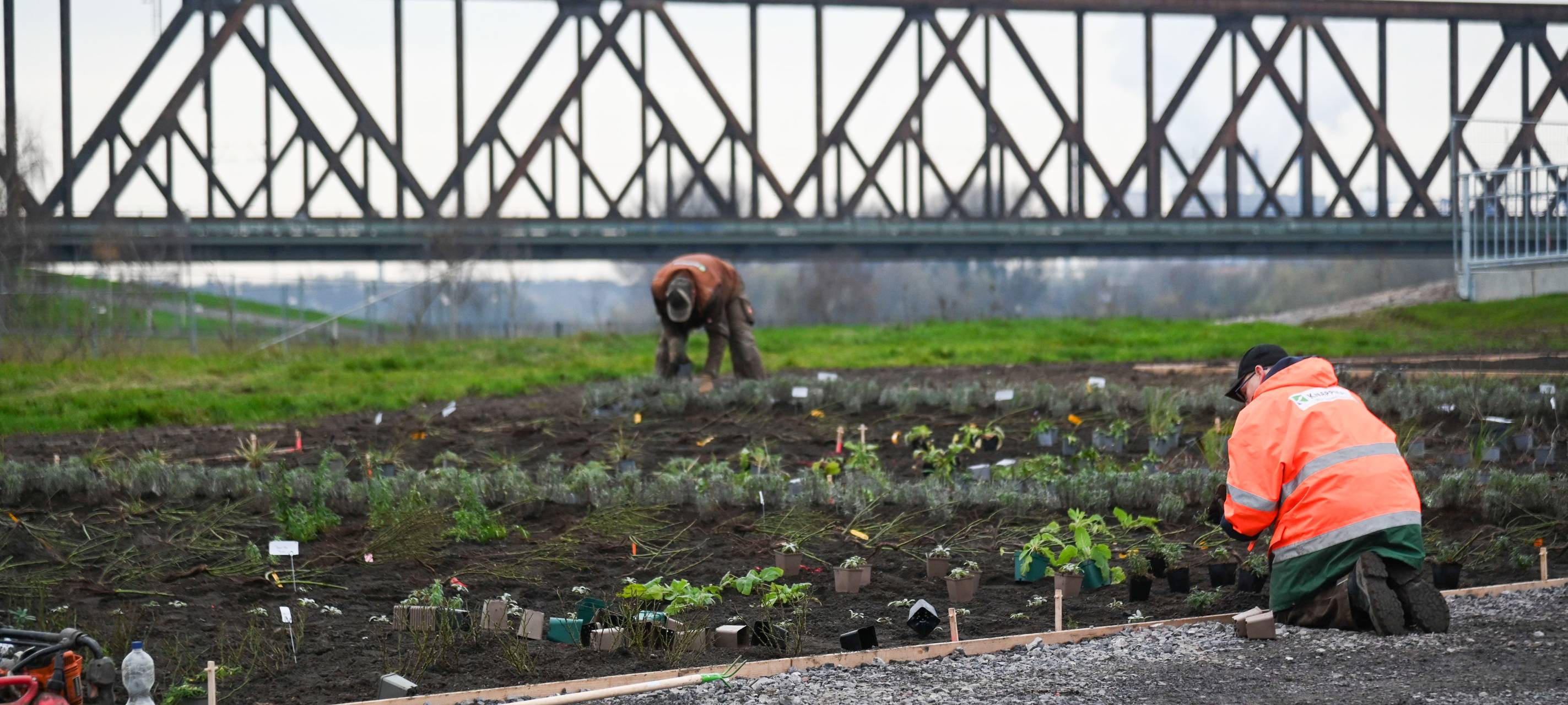 Der RheinPark Duisburg befindet sich im Umbau für die IGA 2027.