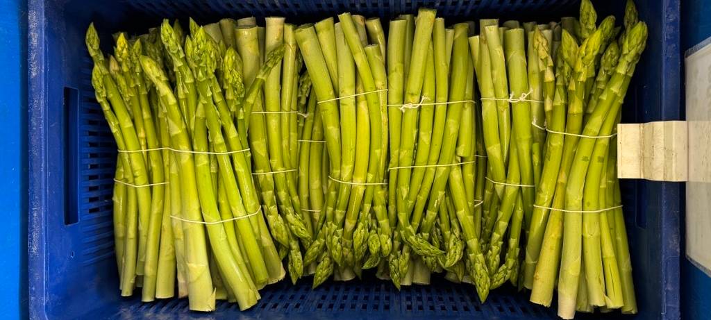 Duisburg: Droht dem Ellerhof das Aus für den Spargel?