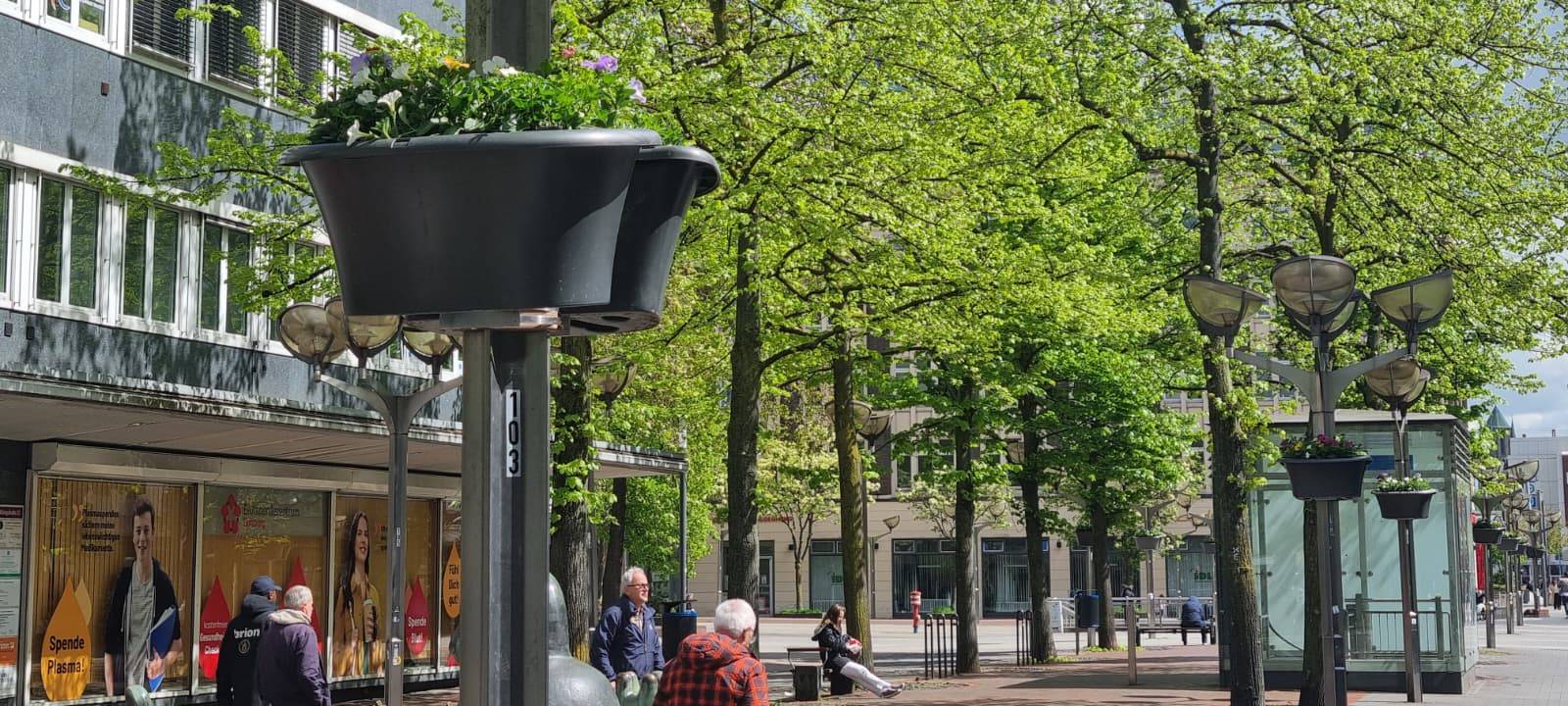 Blumenampeln in Duisburg