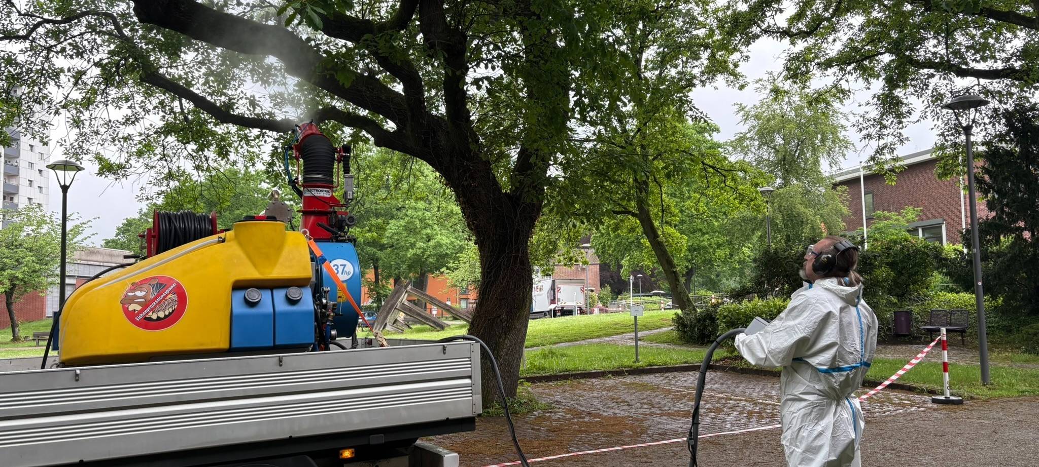Duisburg vs. Eichenprozessionsspinner