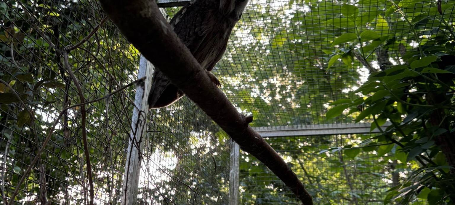 Duisburgs Vogelretter