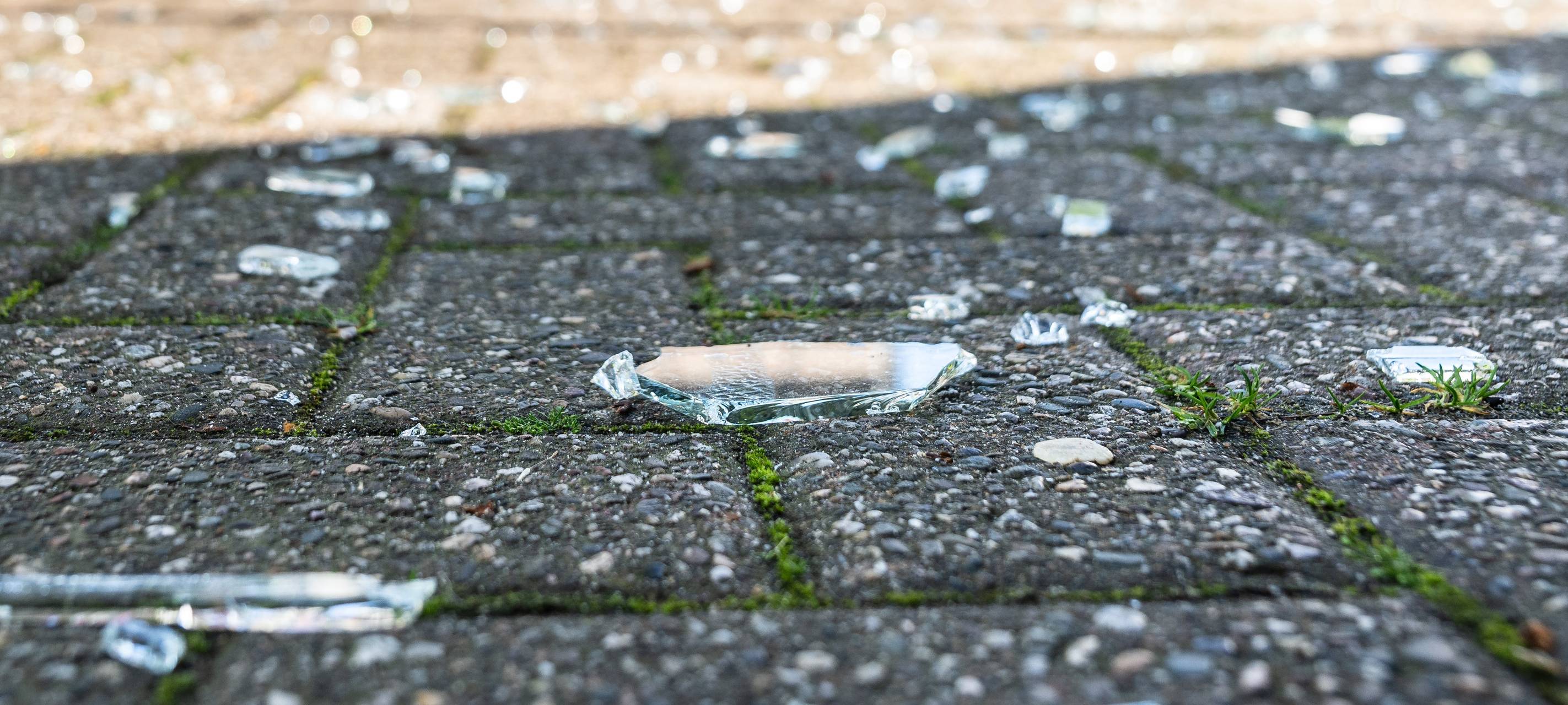Streit in Hochfeld endet in Haltestellenscheibe