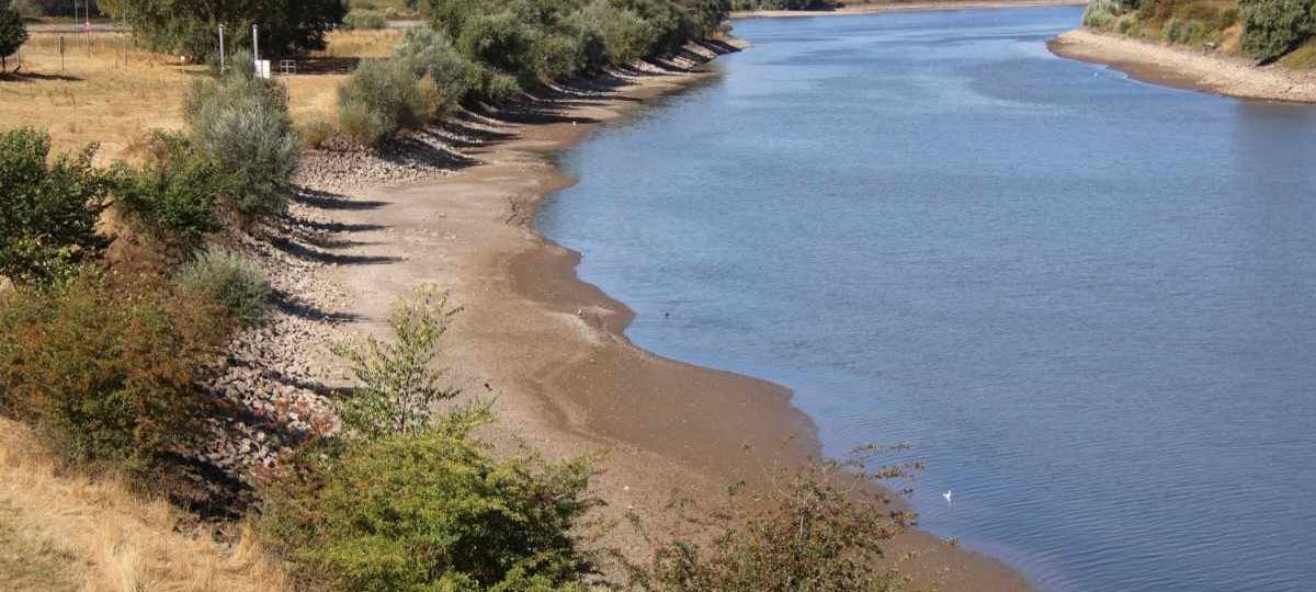 Duisburger Rheinfähre bald auf dem Trockenen?