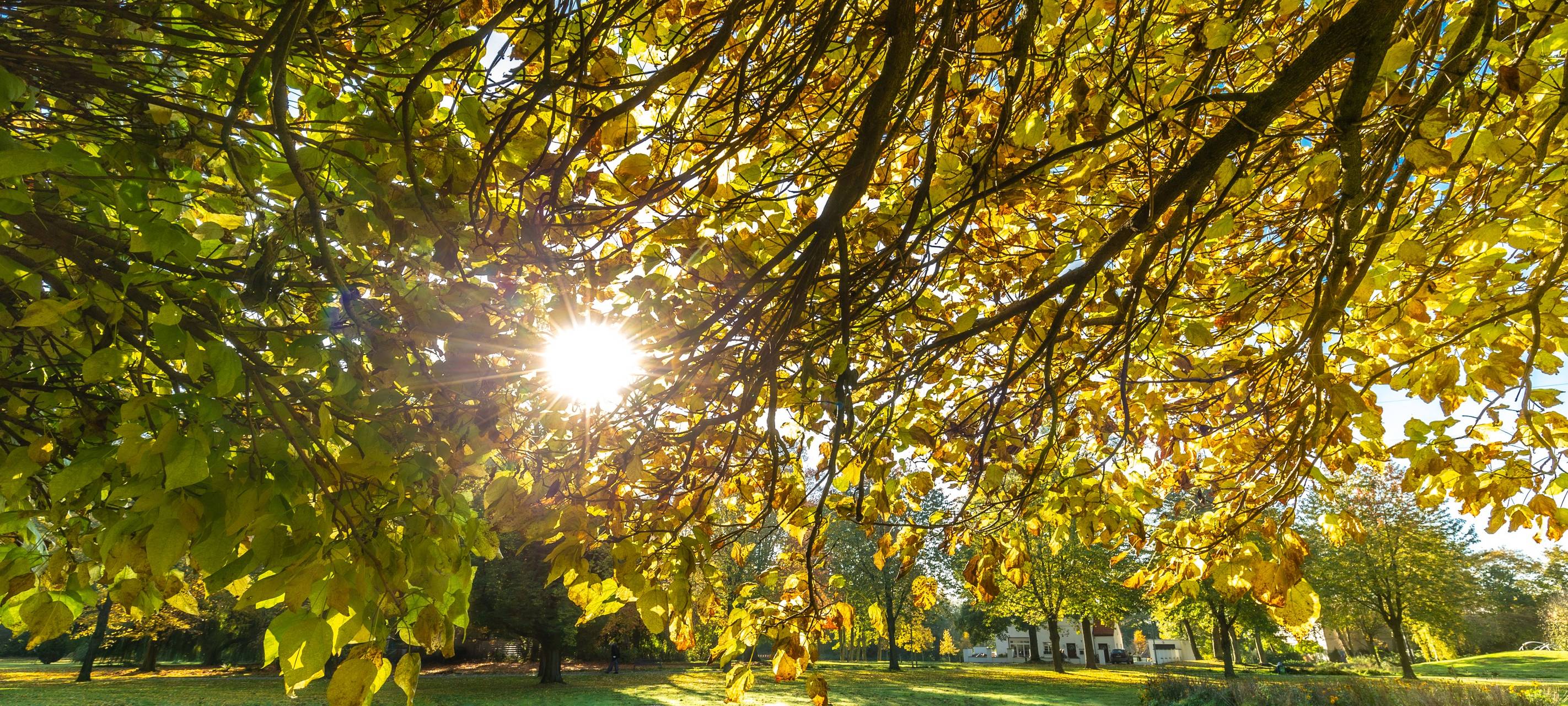Herbst- und Winterevents 2026: Das geht in Duisburg
