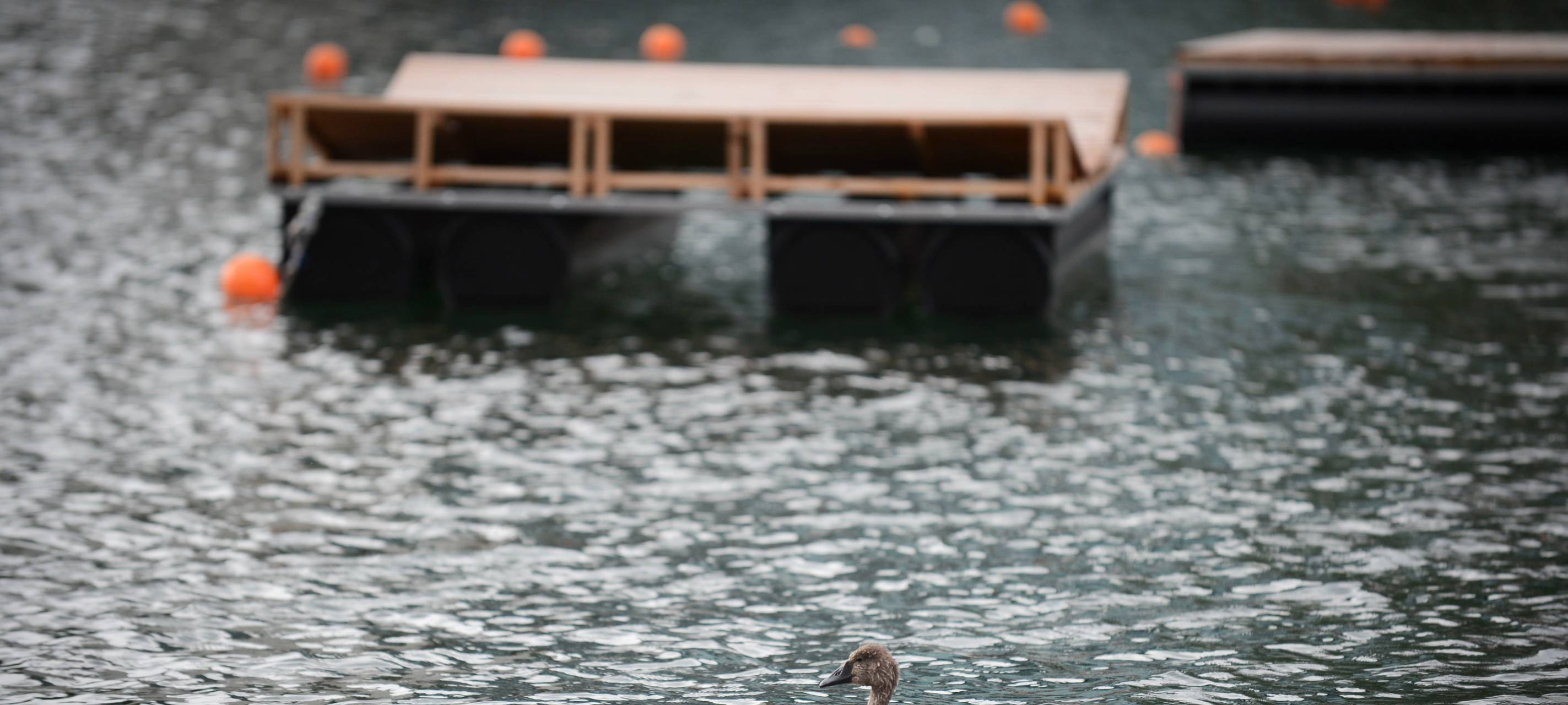 Letzte Chance auf den DuisPool im Innenhafen