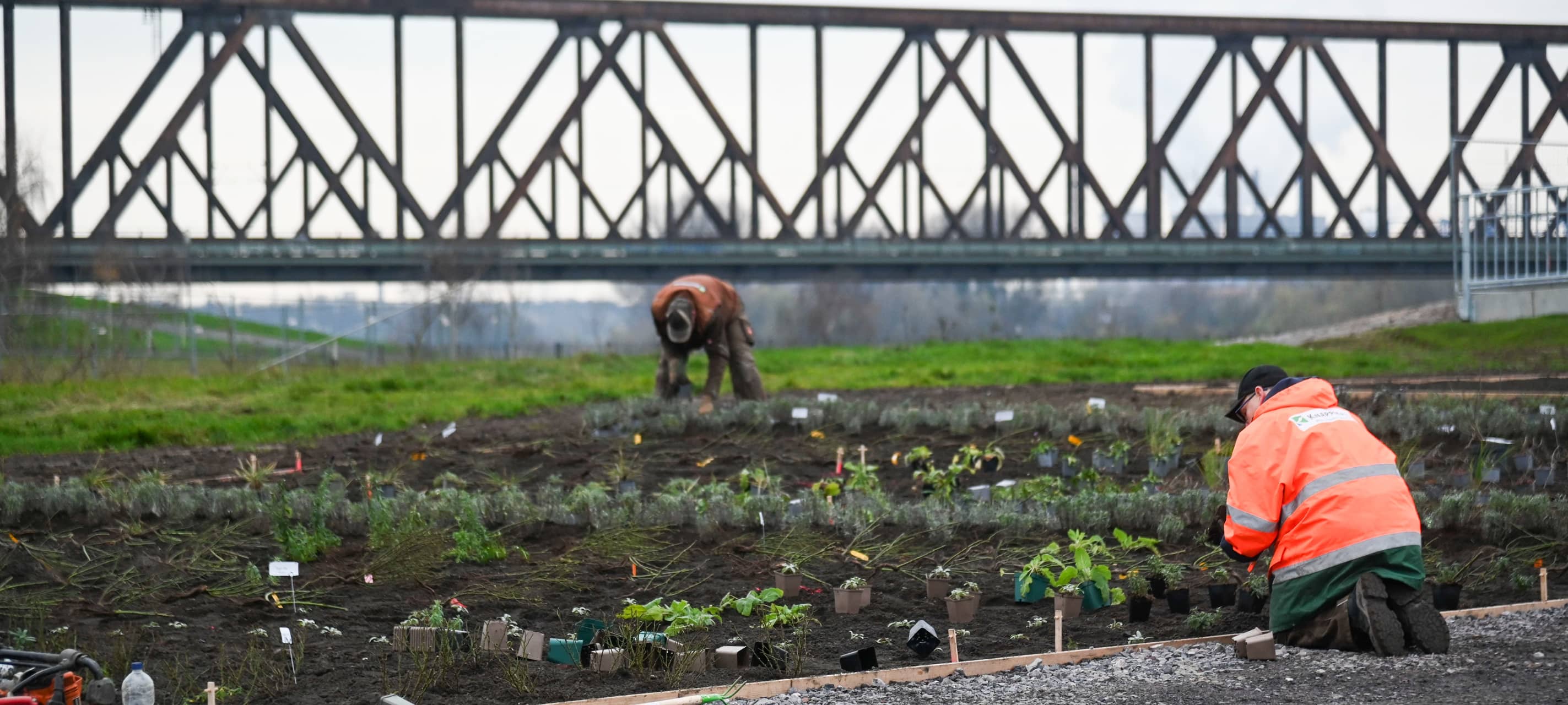 IGA 2027 in Duisburg: Das erwartet Besucher im Rheinpark