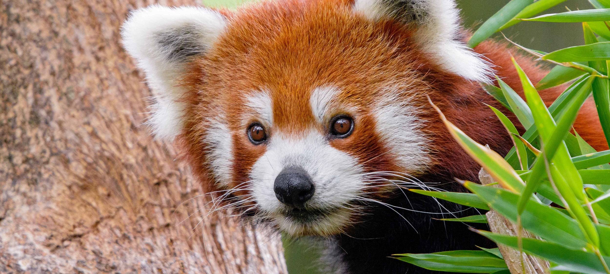Besondere Aktion zum Weltkindertag im Zoo Duisburg