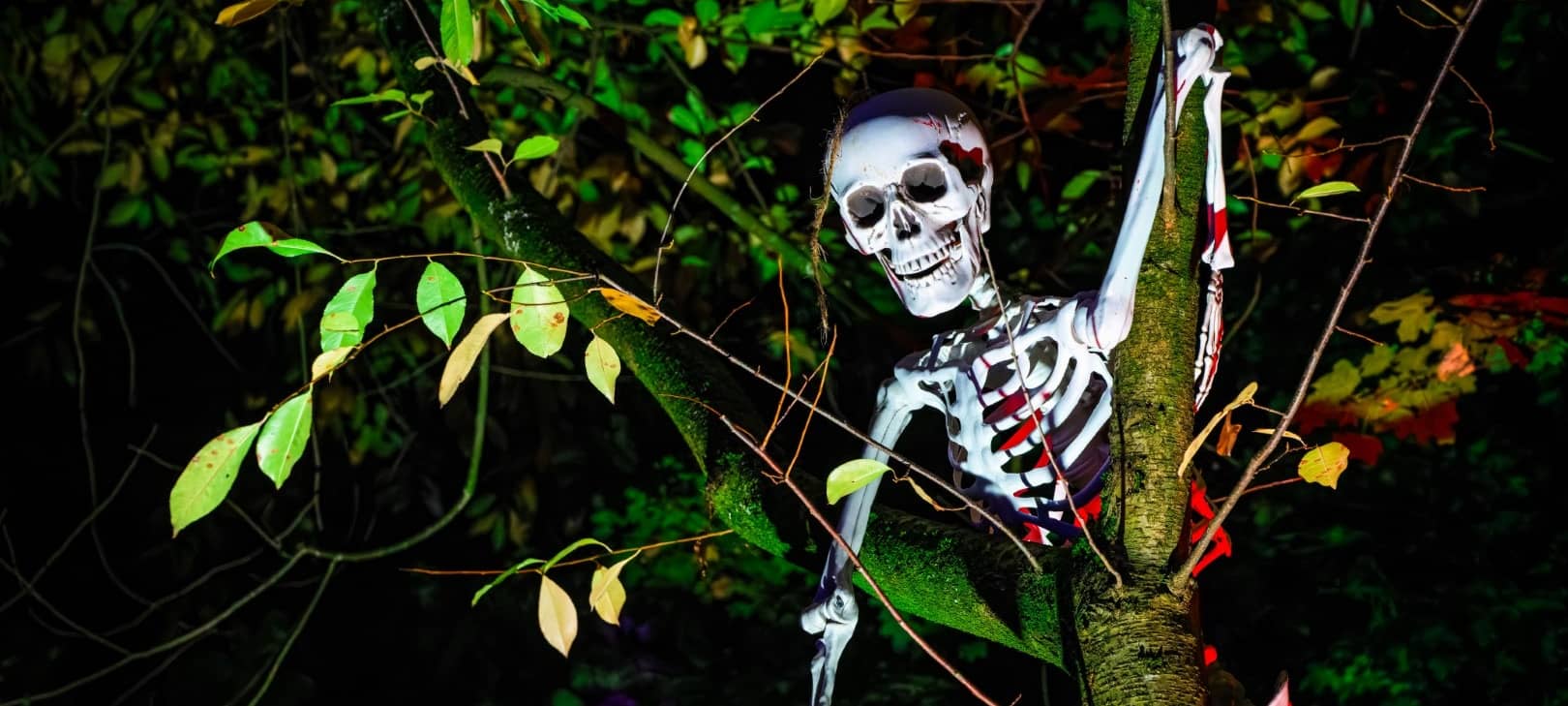 Halloween im Zoo Duisburg