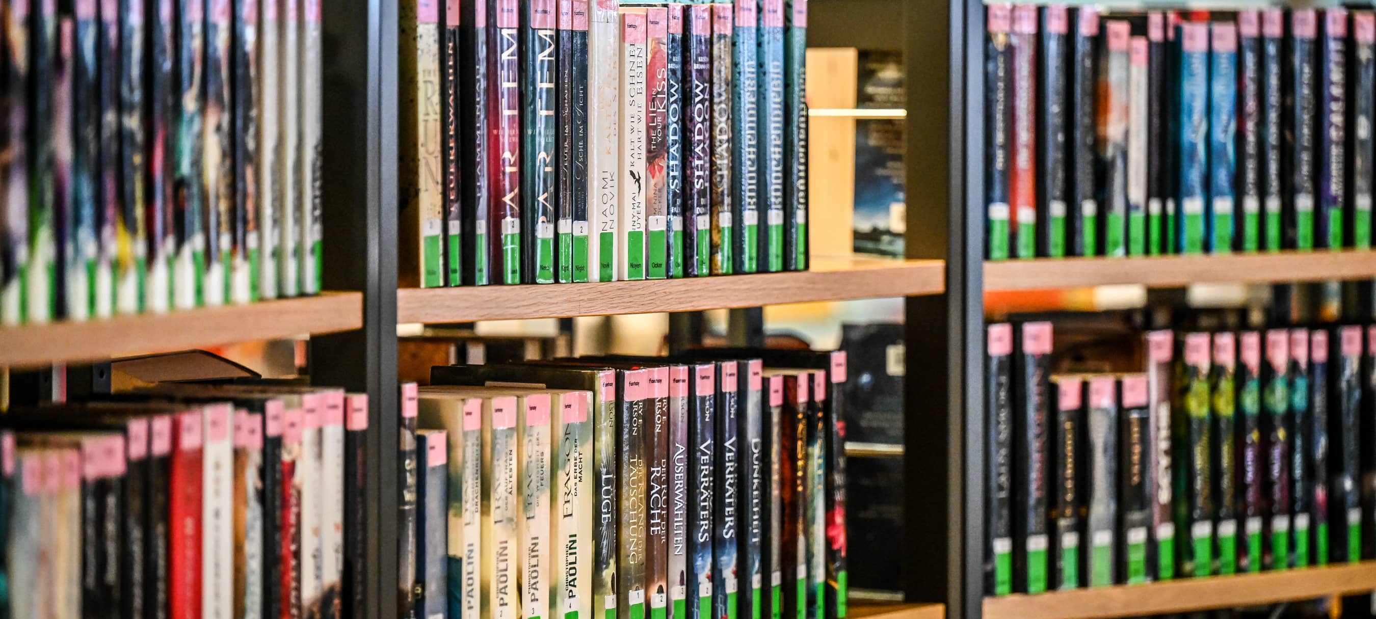 Duisburg: Welche Bibliotheken könnten schließen?