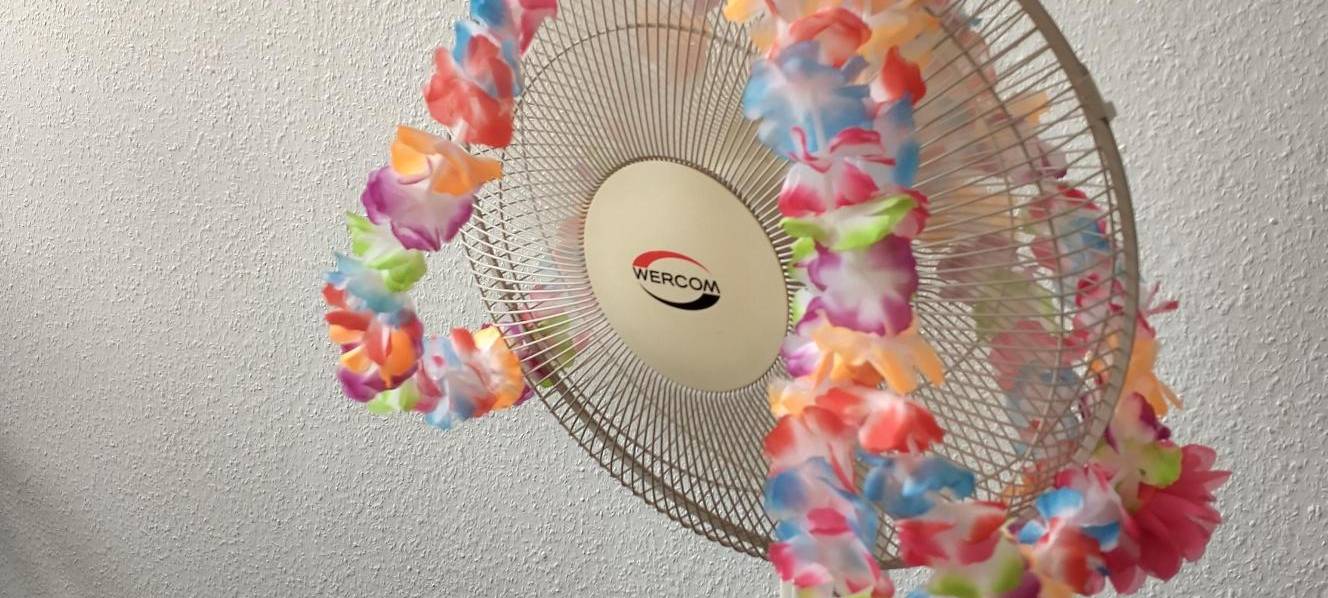 Hitzeserie: Wie halte ich meine Wohnung kühl